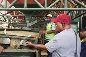 Doing Fair Trade Coffee Right by Supporting People Who Grow It